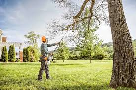 Best Lot and Land Clearing  in Beverly, NJ