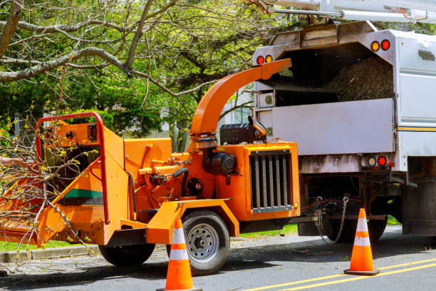 Best Tree and Shrub Care  in Beverly, NJ
